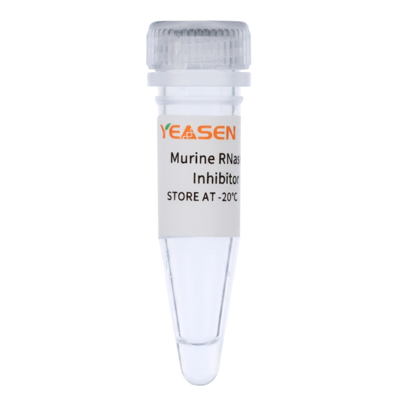 ตัวยับยั้ง Murine RNase (40 U/μl) _ 10603ES