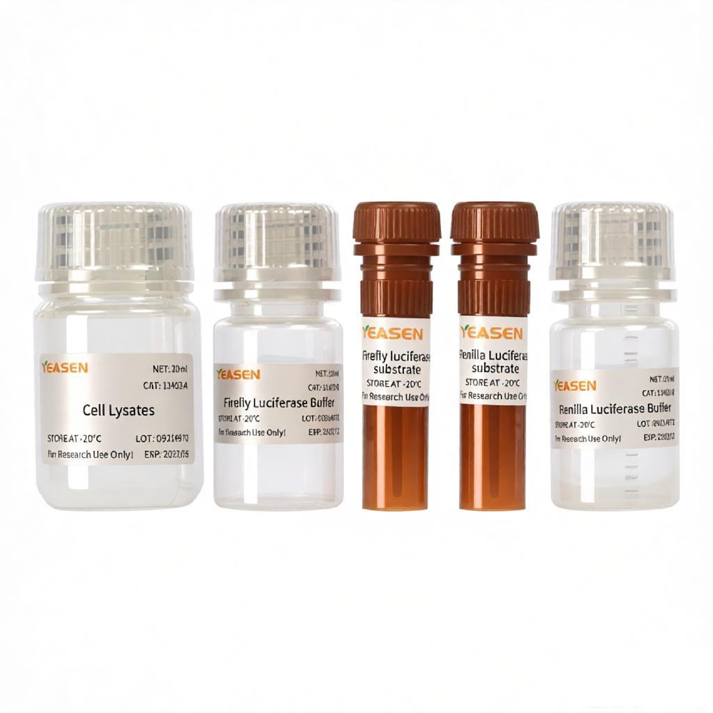 Dual Luciferase Reporter Gene Assay Kit _ 11402ES