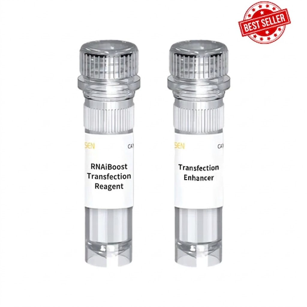 Hieff Trans™ RNAiBoost Transfection Reagent (RNAiMax alternative) _ 40807ES