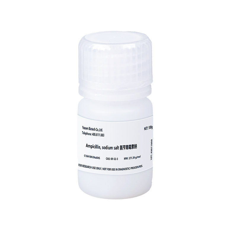 Ampicilline, sel de sodium _ 60203ES