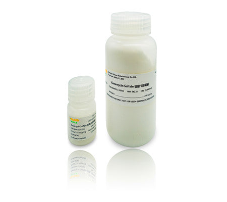 Sulfate de kanamycine _ 60206ES