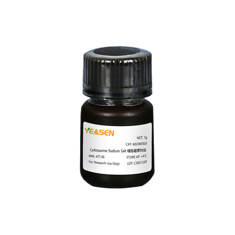Céfotaxime Sodium Sel _ 60226ES