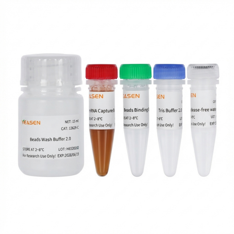 Hieff NGS™ mRNA Isolation Master Kit V2 _ 12629ES