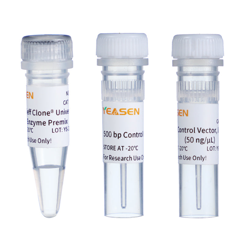 Hieff Clone ™ Universal II Kit de clonage d'une étape _ 10923ES