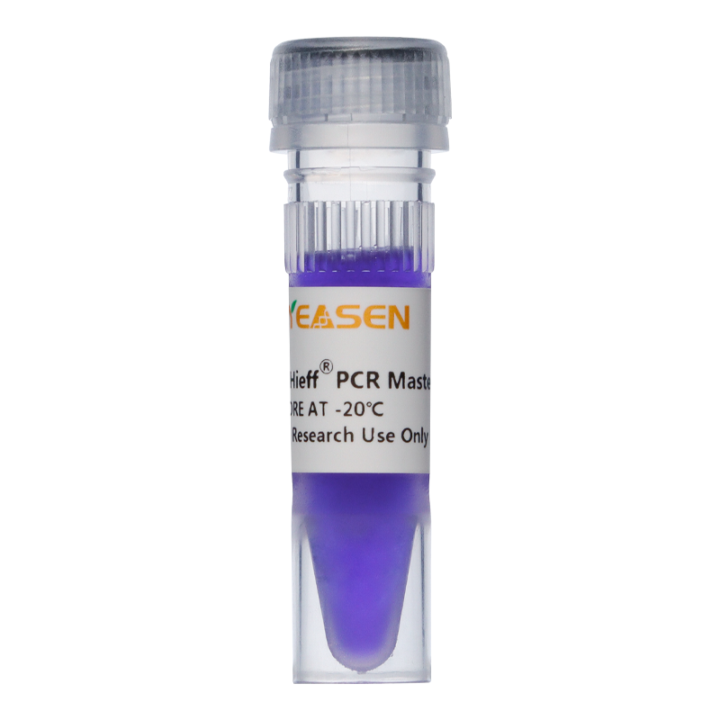 2 × Hieff ™ PCR Master Mix (avec colorant) _ 10102ES