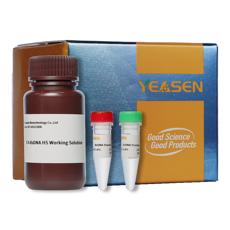 1 × kit de test DSDNA HS -12642ES