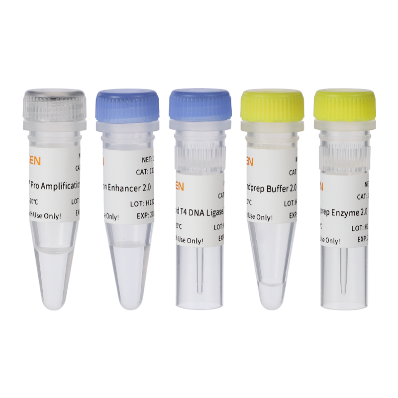 Hieff NGS ™ OnePot Pro DNA Kütüphanesi Hazırlık Kiti V4 (Enzimatik) -12972es