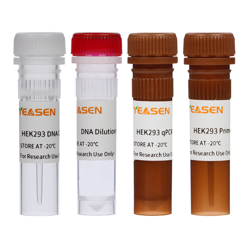 Kit de detecção de resíduos de DNA da célula hospedeira HEK293 (3G) _ 41331es