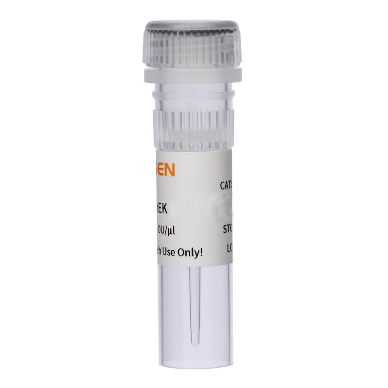 Entérokinase recombinante, concentration élevée, exprimée en e.coli.  _ 20401ES