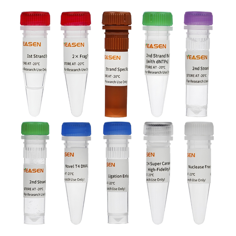 Hieff NGS™ Ultima Dual-mode RNA Library Prep Kit (Stranded & Non-stranded) _ 12308ES