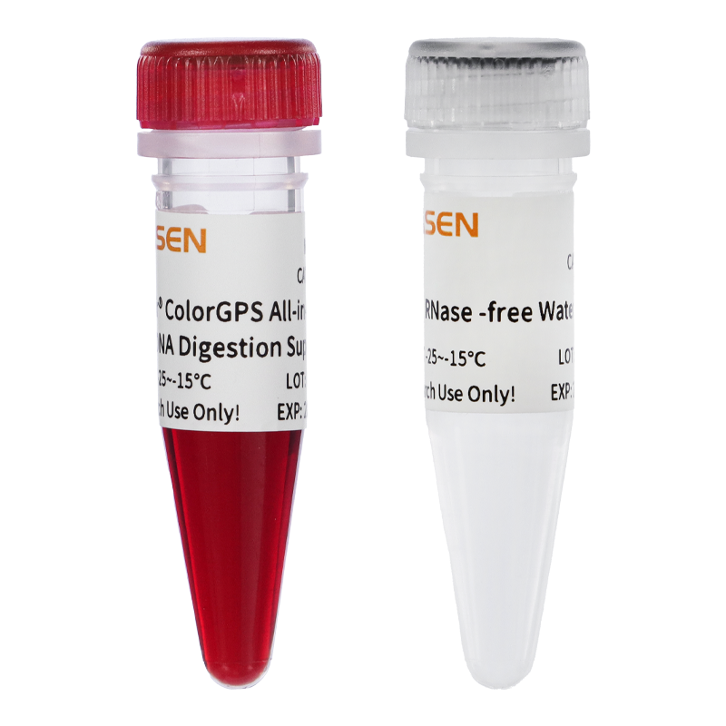 Hifair™ ColorGPS All-in-One RT-gDNA Digestion SuperMix for qPCR _ 11157ES