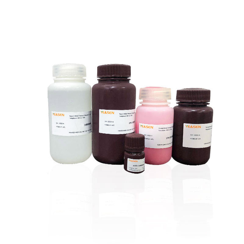 PAGINA GEL SNELBERE PROBEERDING KIT (10%) _ 20325ES