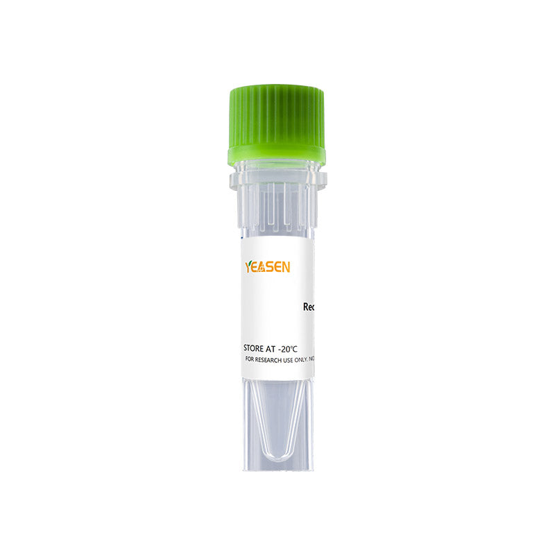 Recombinant Equine IL-2 Cys141Ser _ 90186ES