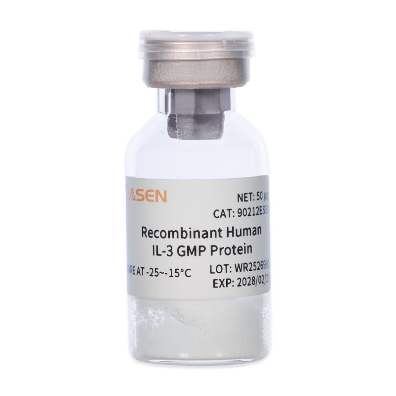 Recombinant Human IL-3 GMP Protein _ 90212ES