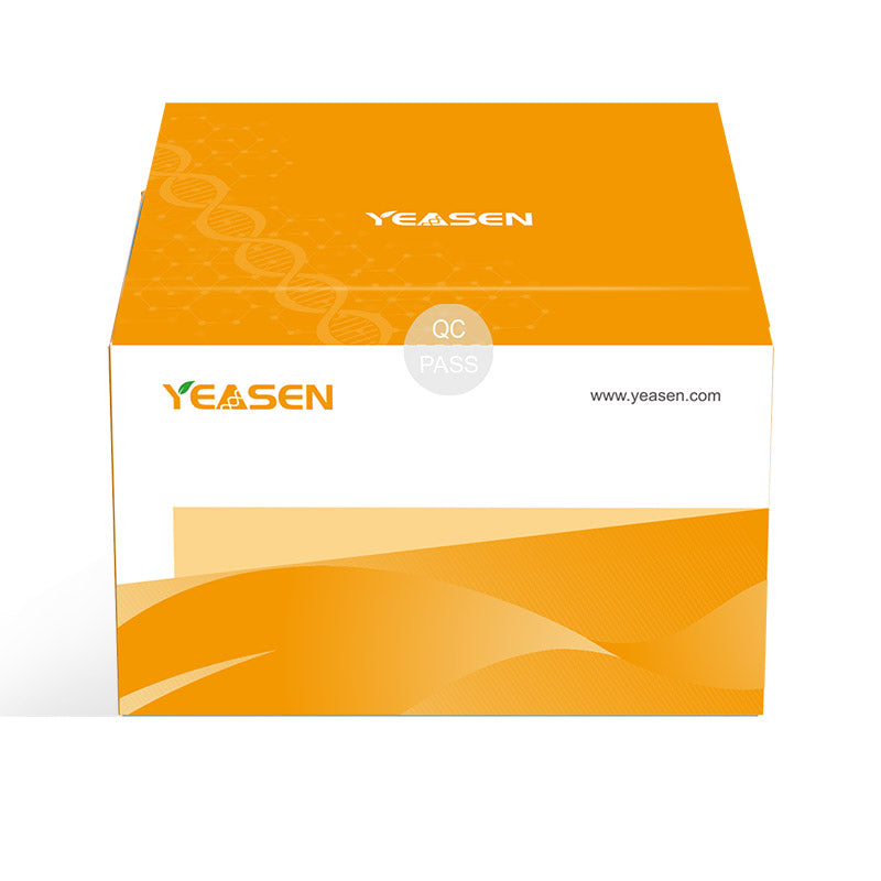 HIFAIR ™ V Ters Transkriptaz (600U/μl, Gliserol içermeyen) -11301es