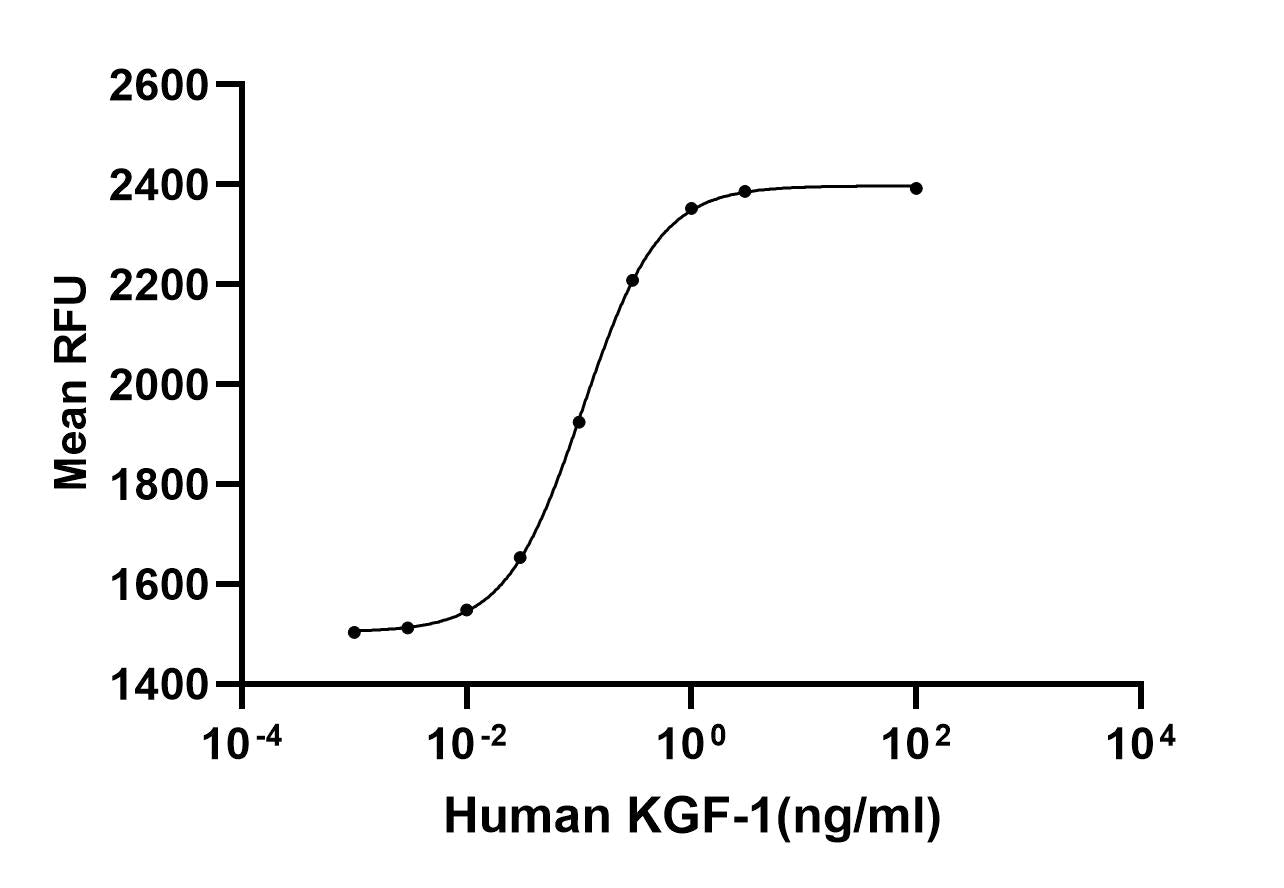 Rekombinant human KGF/FGF-7 protein _ 91304ES