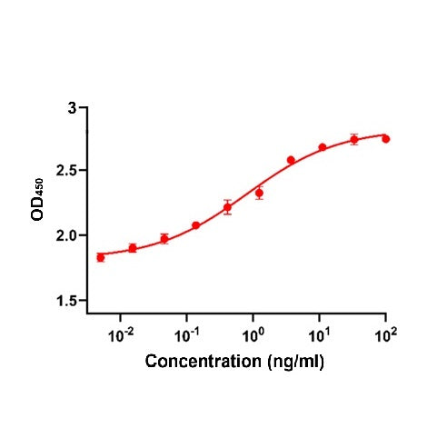 Recombinant Human FGF Basic / FGF2 / BFGF, protéine GMP