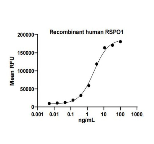 Recombinant Recombinant Human RSPO1 Protein _ 92278ES