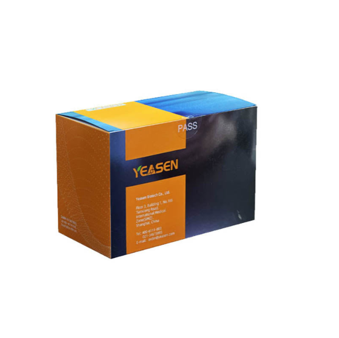 Hieff™ Fast Tagmentase (1 U/μL) _ 12900ES