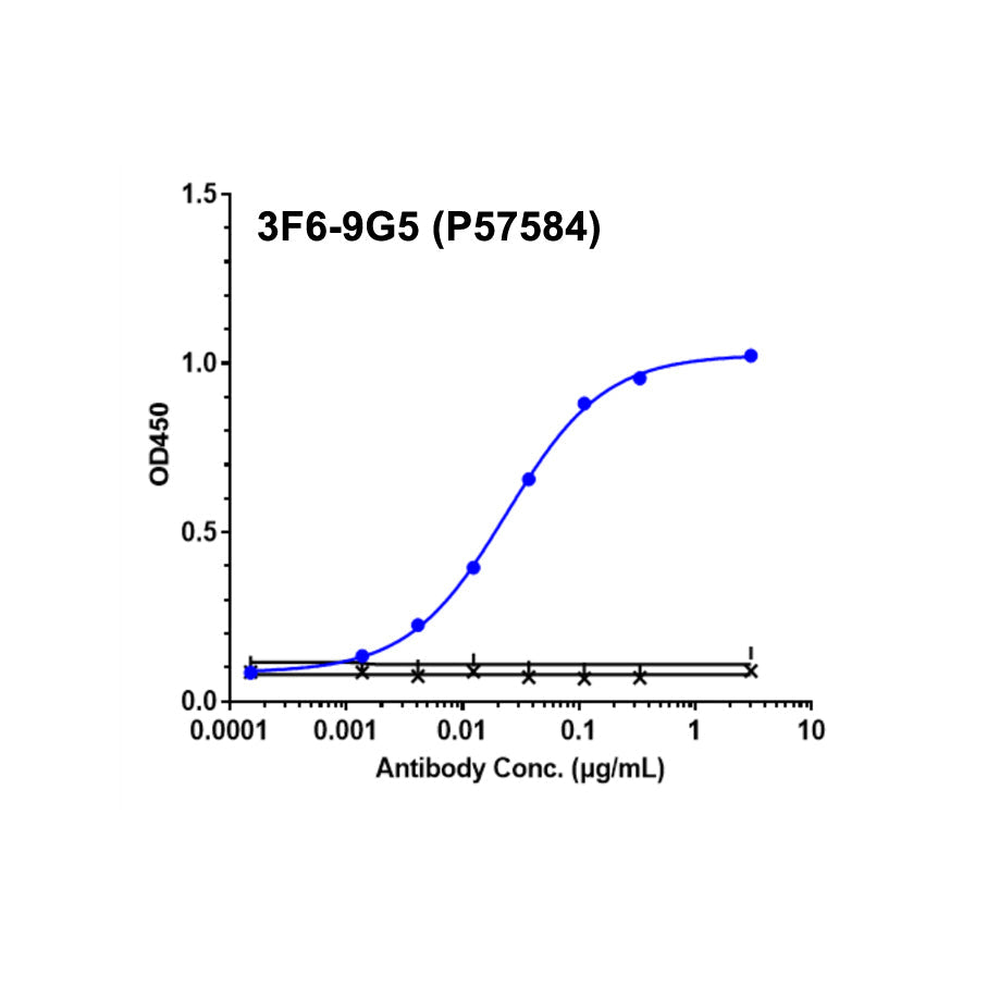 Recombinant humaan A2AR-eiwit-VLP _ 95033ES