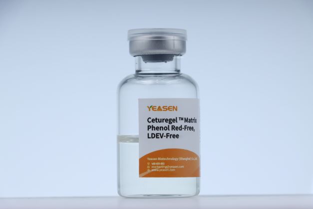 CETUREGEL ™ Matrix phénol sans LDEV -40184ES