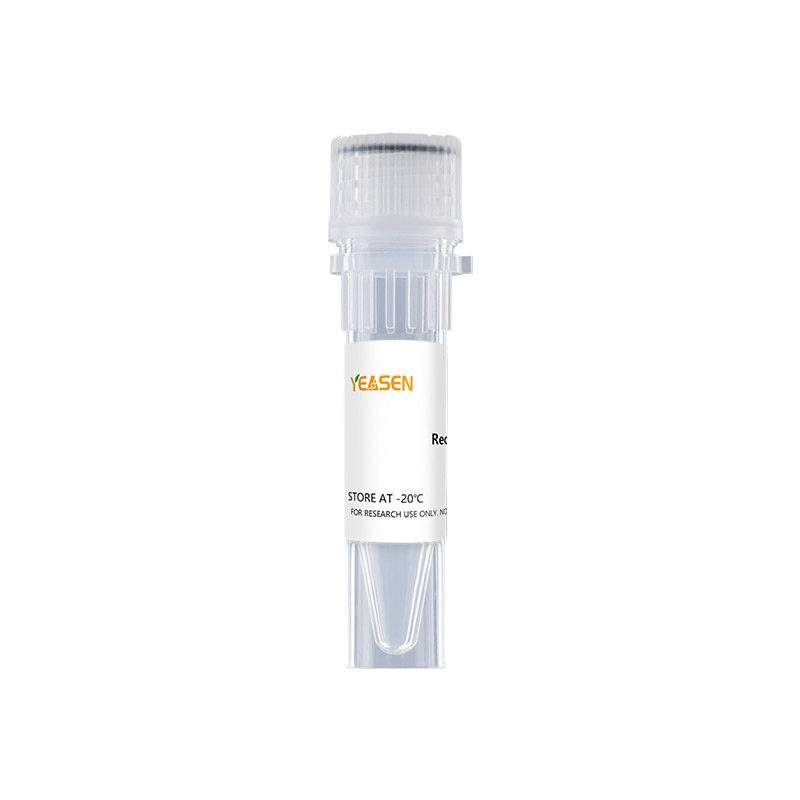 Hieff™ HC Fast Tagmentase _ 12914ES