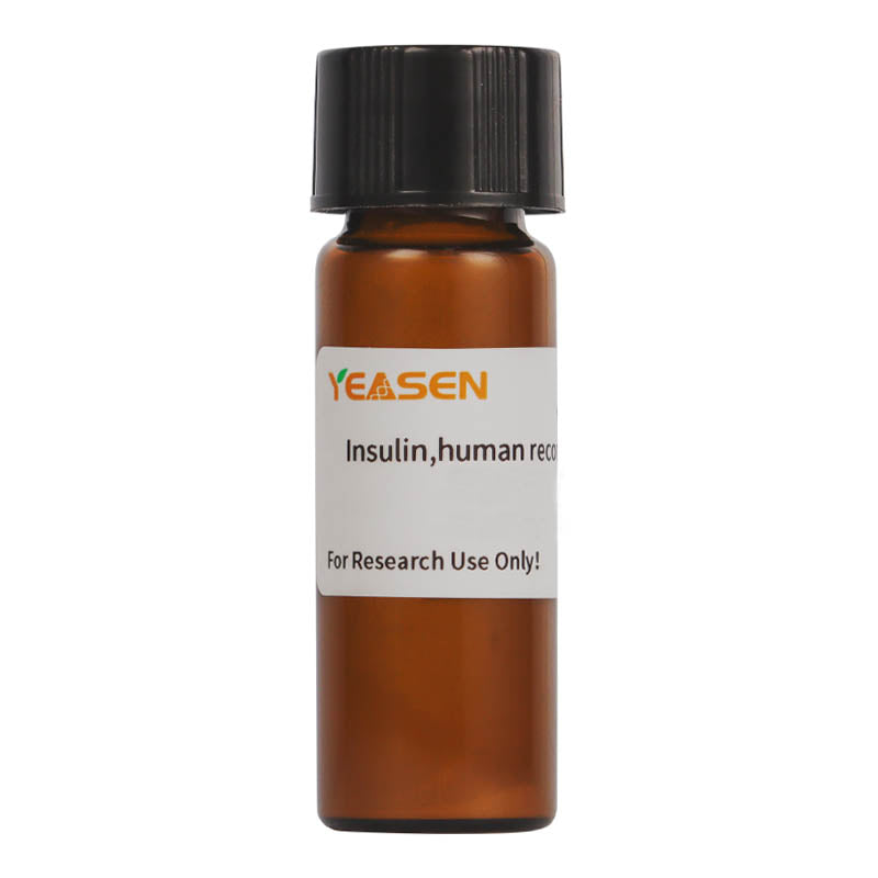 Insuline, recombinant humain _ 40112ES