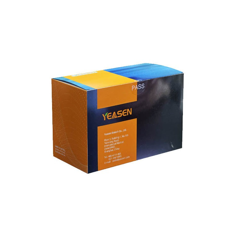 Tampon de digestion 10 × 3 GMP-10667E