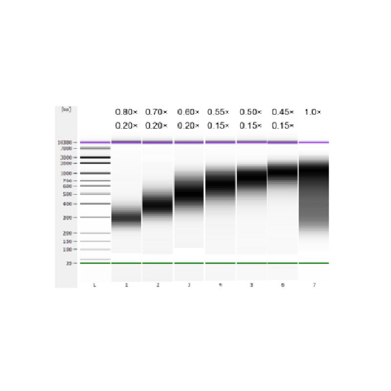 Hieff NGS™ DNA 選択ビーズ Superior Ampure XP 代替品 _ 12601ES
