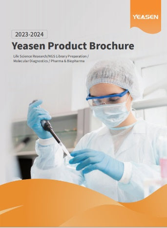 Brochura e Flyer _ BF001