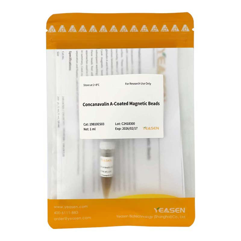 Concanavalin a cdeletic hạt _19810es