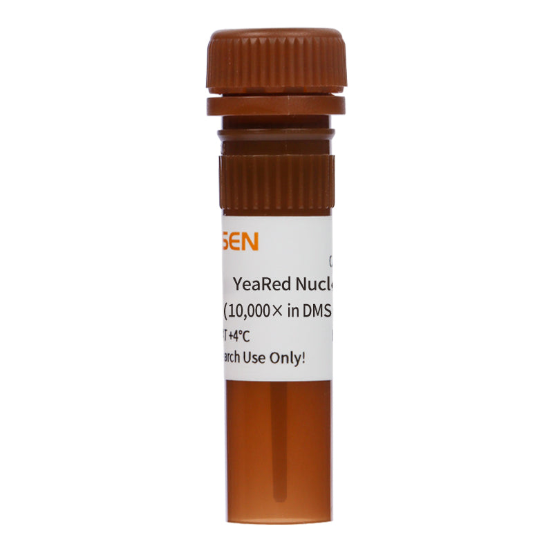 YeaRed Nucleic Acid Gel Stain (10,000× in DMSO) _ 10203ES