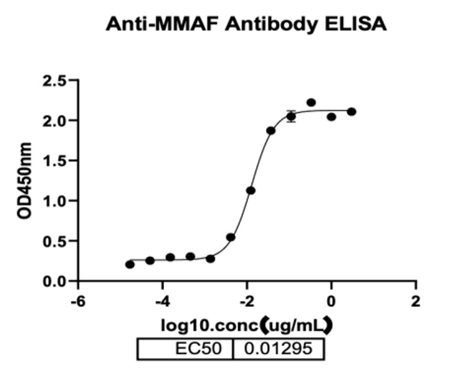 MAB de souris anti-MMAF _ 31904es