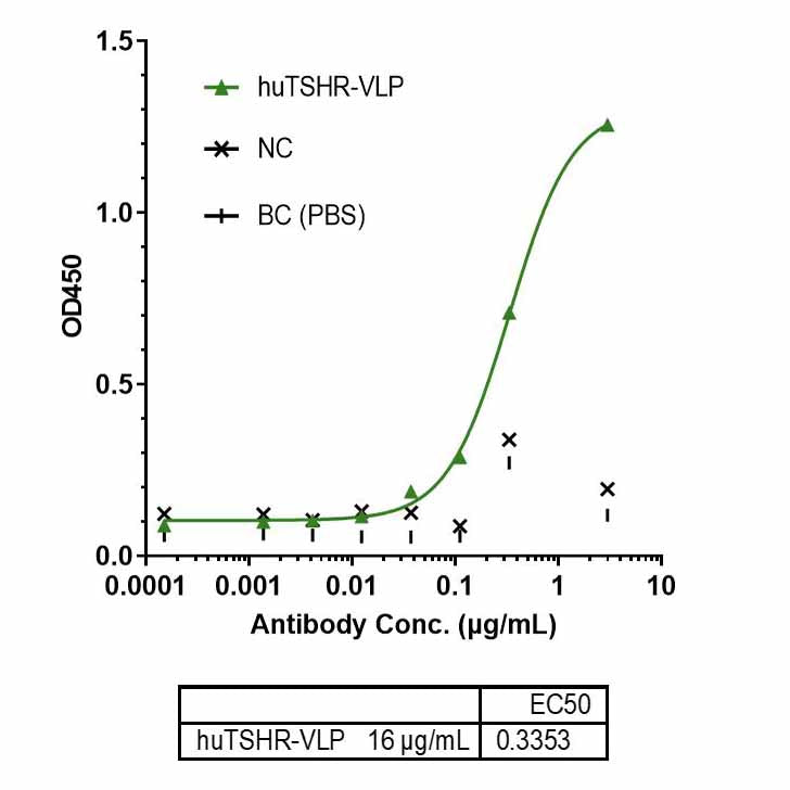 Recombinant humaan TSHR-eiwit-VLP _ 95030ES