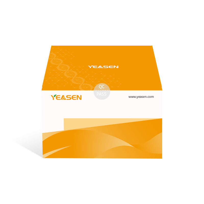 Hieff NGS™ dsDNA Methyl Library Prep Kit for Illumina™ _ 12214ES
