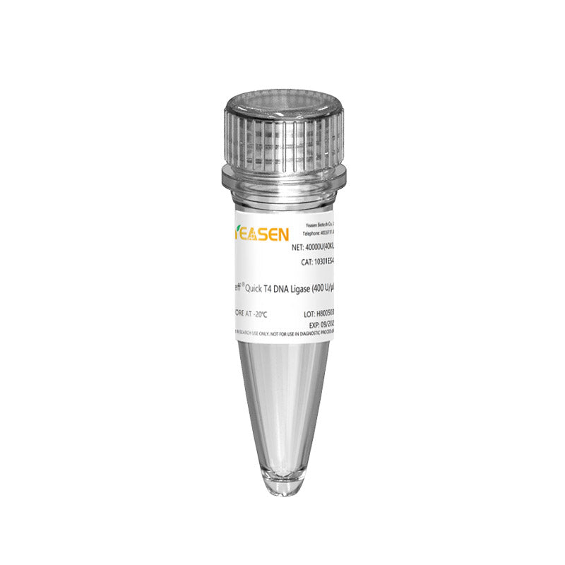 Ligase ADN T4 rapide (400 U / μl) -10301ES