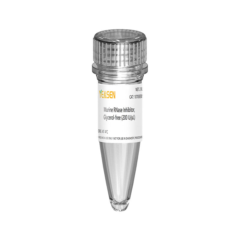 Inhibiteur de la RNase murine (200 U / μl, sans glycérol) -10703ES
