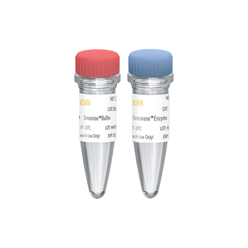 Hieff NGSâ„¢ OnePot Pro DNA Fragmentation Module (end repair and dA-tailing plus)-12619ES