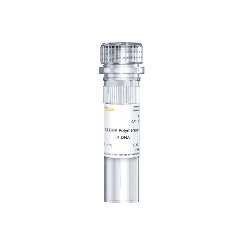 ADN polymérase T4 (5 U / μl) _ 12901ES