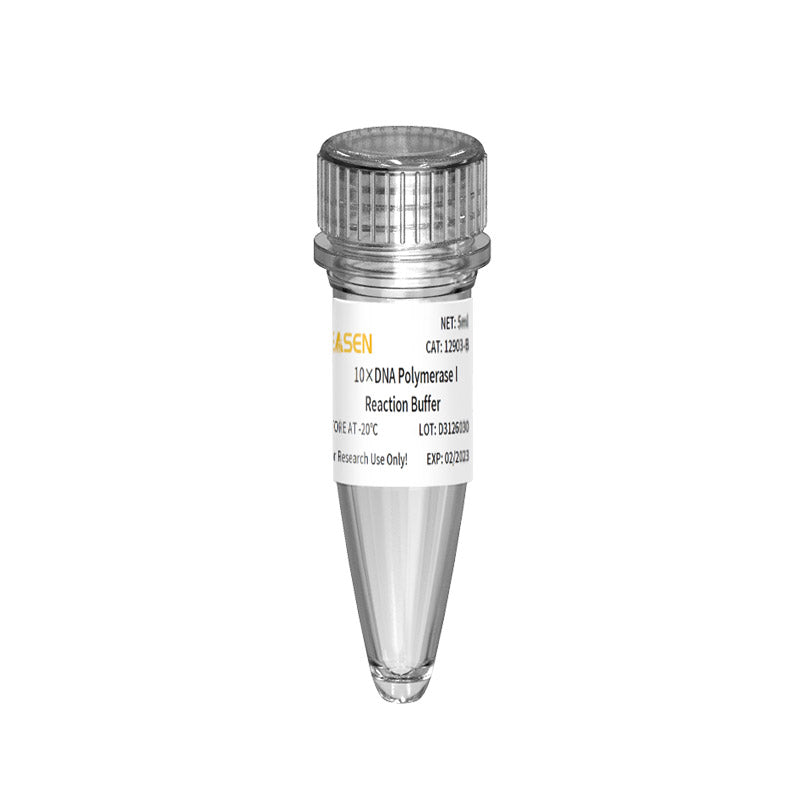 ADN polymérase I (10 U / μl) _ 12903ES