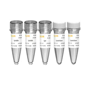 Hieff NGSâ„¢ Dual Barcode Fast-Pace DNA Cyclization Kit for MGI -13340ES