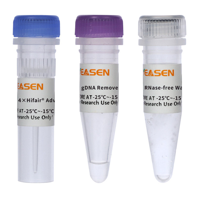 HIFAIR â„¢ Advancefast One-Step RT-GDNA Digestion Supermix untuk QPCR _11151es
