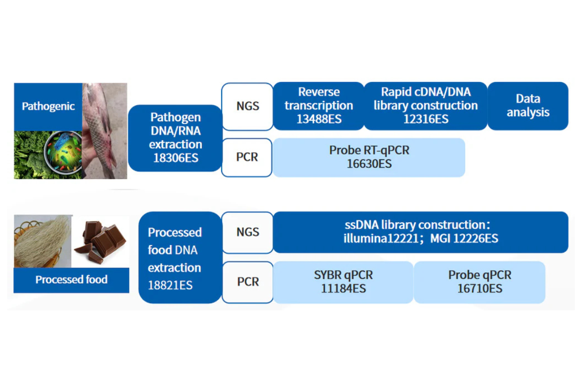 Guarding Food Safety from the Source: NGS-Based Food Testing Solution