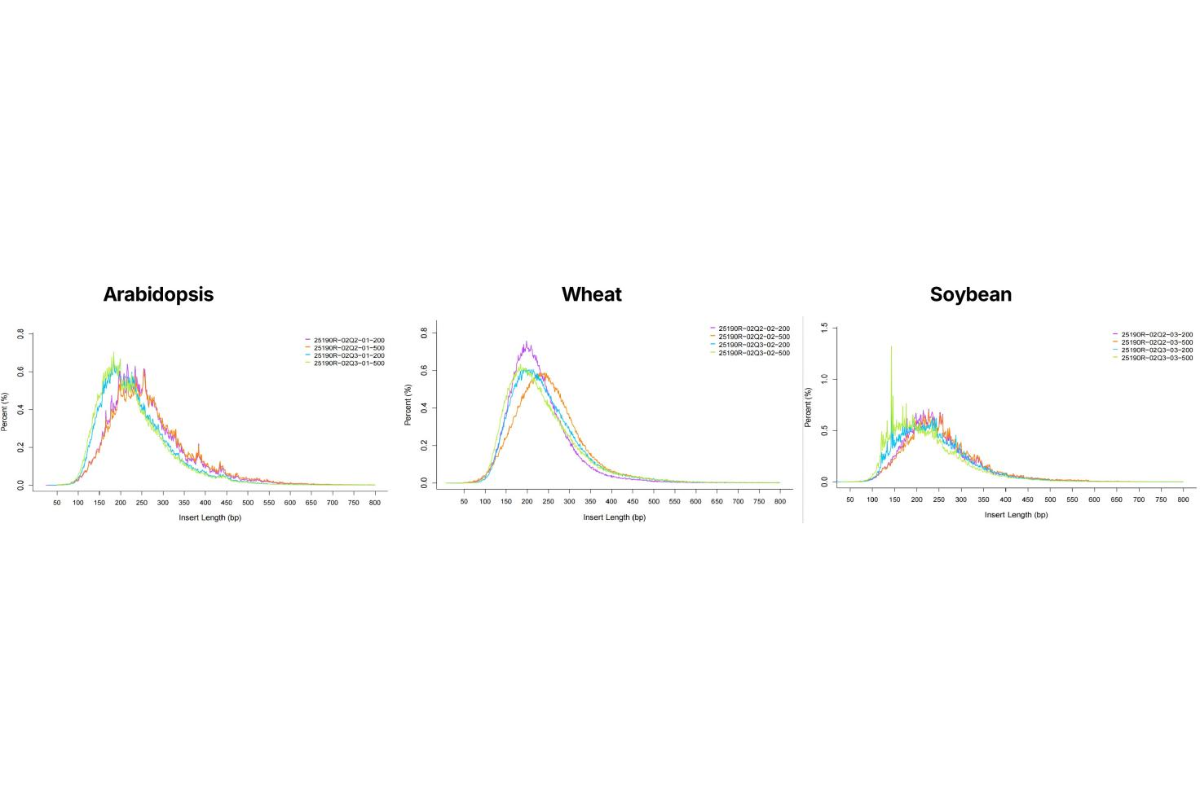 LncRNA-Seq Library Preparation Protocol for Plant