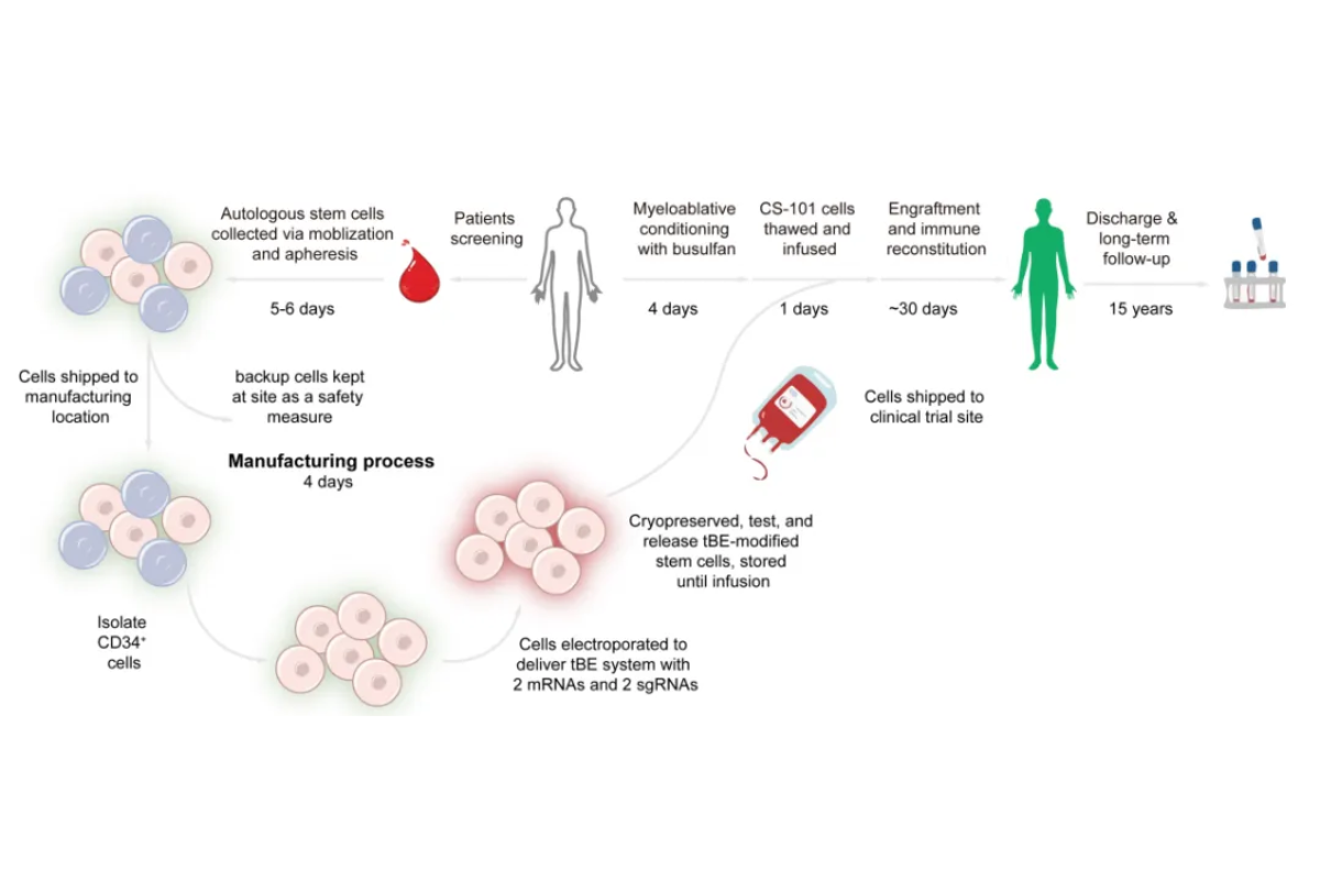 Base Editing Breakthrough: Yeasen GMP Enzymes Power Clinical Gene Therapy