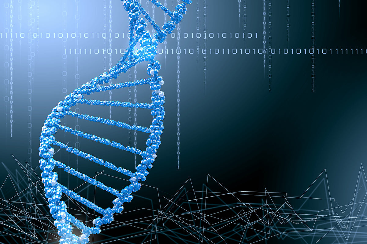 From RNA to cDNA, YEASEN Hifair™ Reverse Transcription 5-Minutes Series Products Make a Quick Breakthrough!