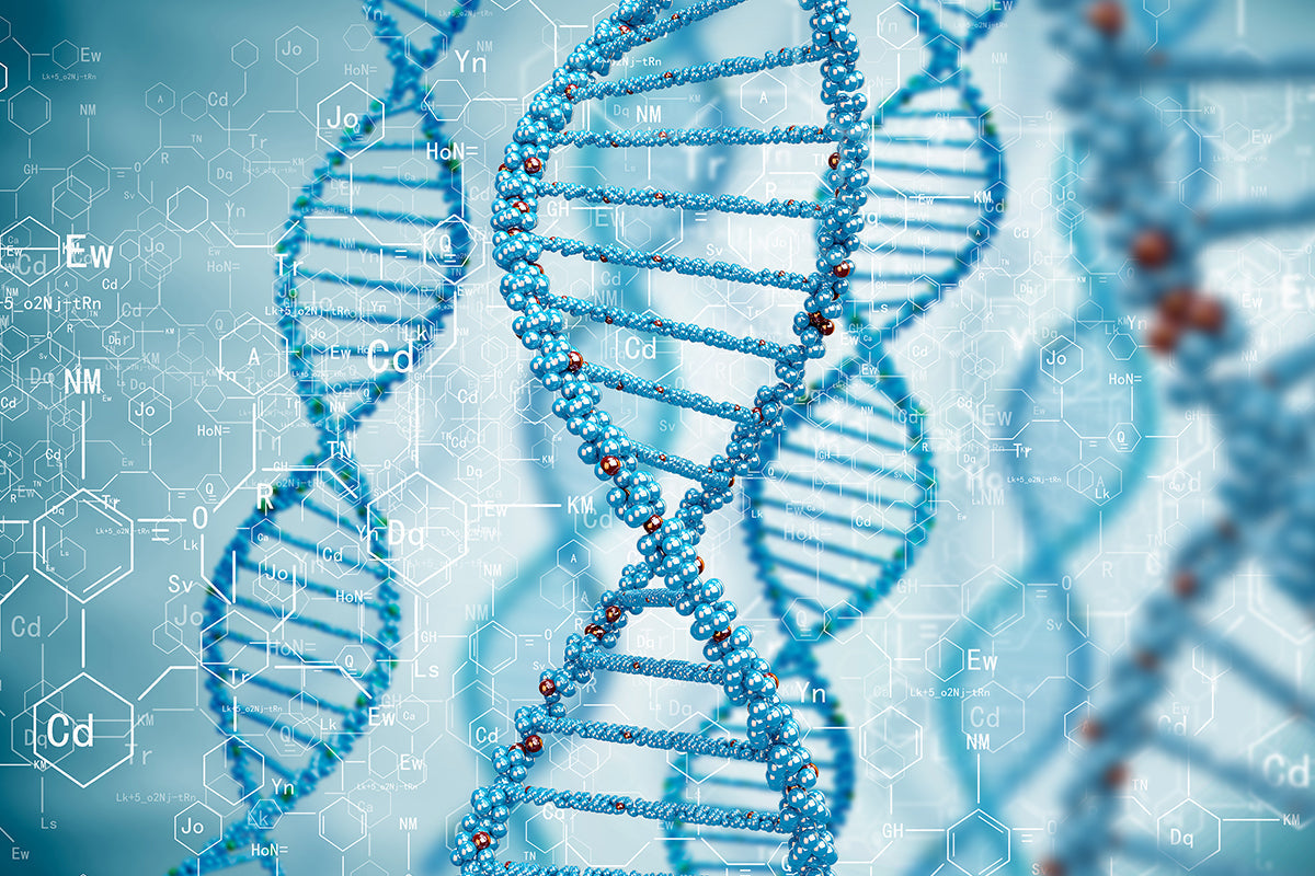 Direct PCR from Multiple Animal and Plant Samples——More Genotyping, Less Time and Fewer Reagents