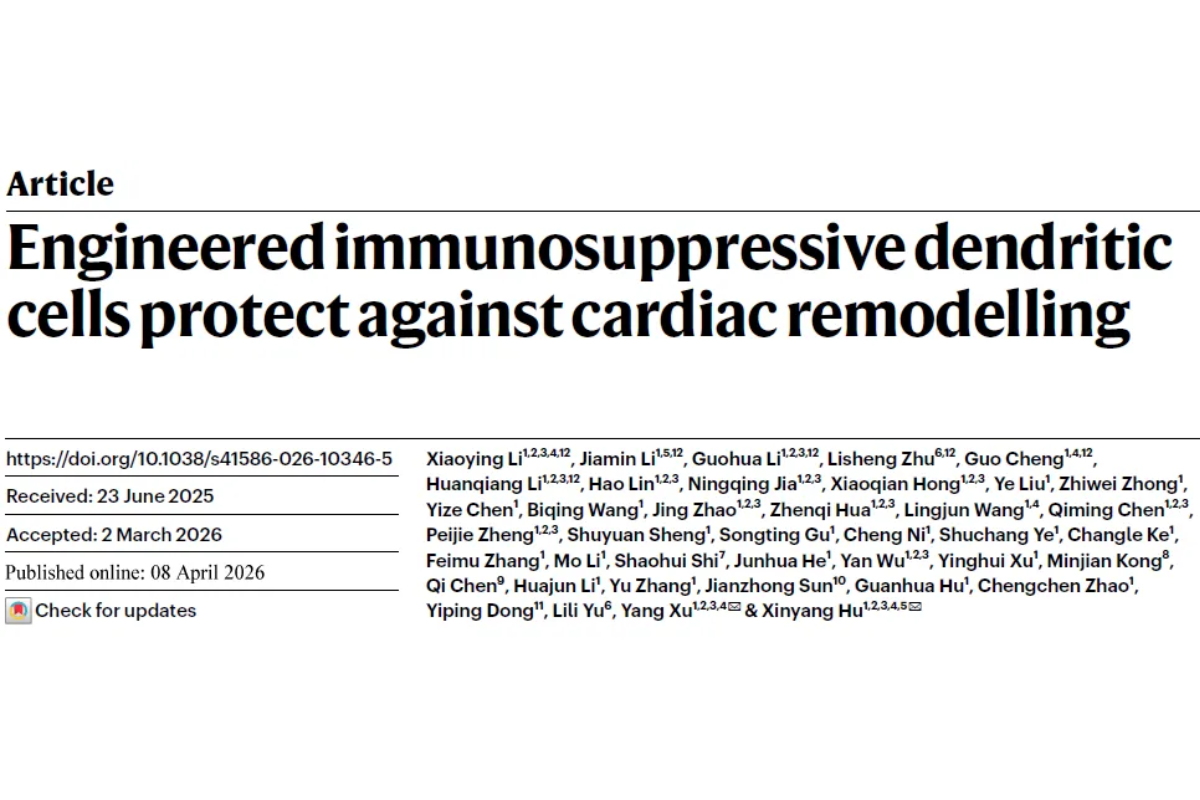 Literature Insight | Immunosuppressive Dendritic Cells in Cardiac Remodeling