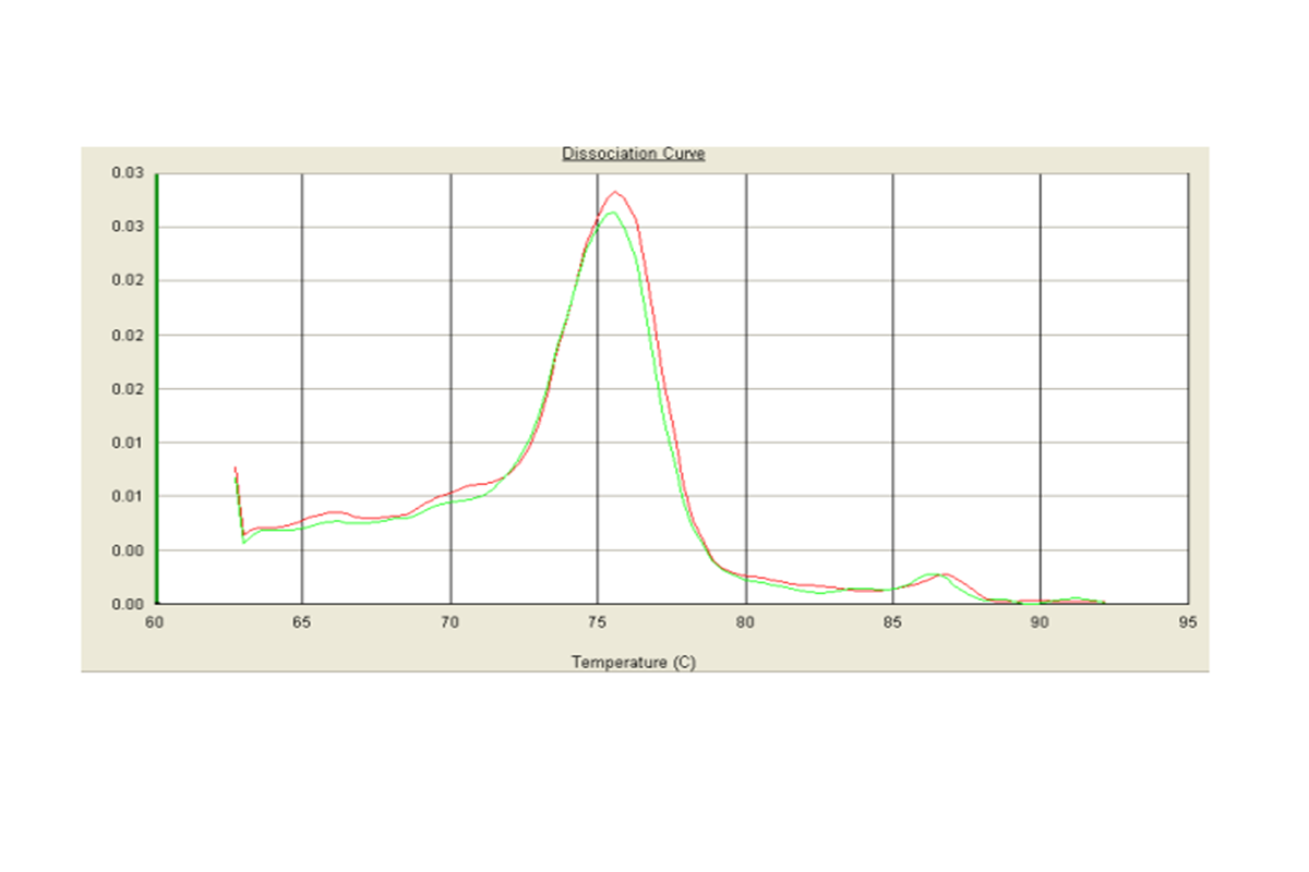 Why Does Your Melt Curve Look So Strange?