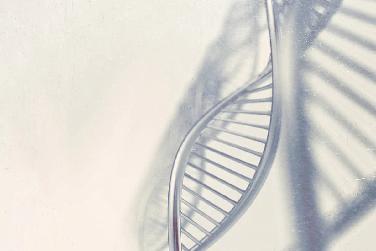 rRNA Depletion Kit – Efficient rRNA Removal Across All Sample Types